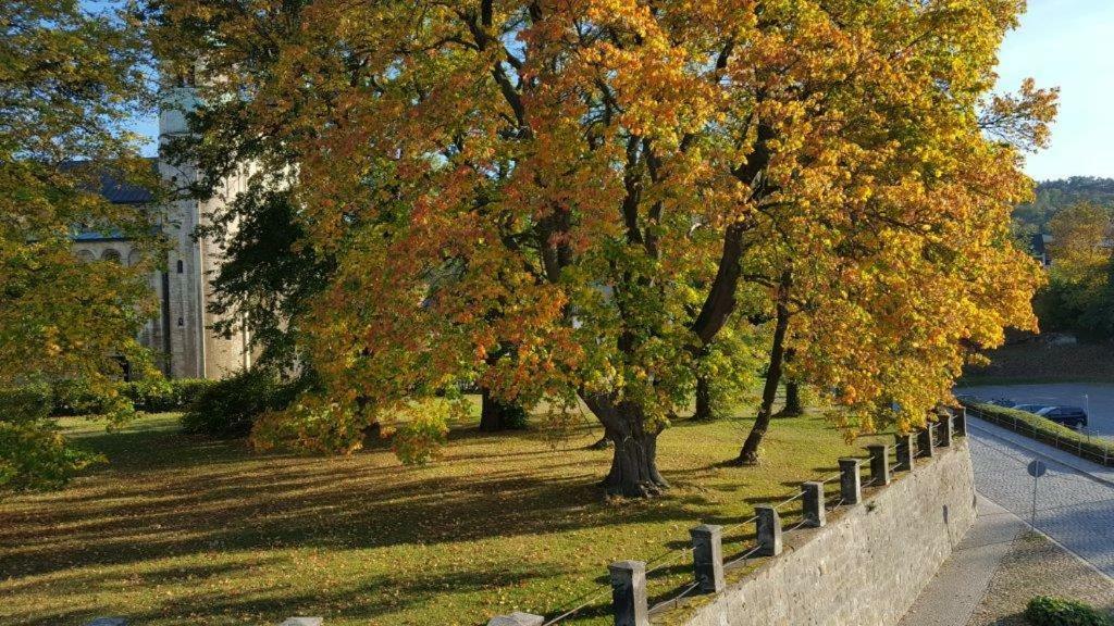 Stiftsblick Leilighet Gernrode  Eksteriør bilde