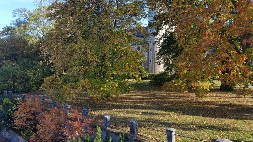 Stiftsblick Leilighet Gernrode  Eksteriør bilde